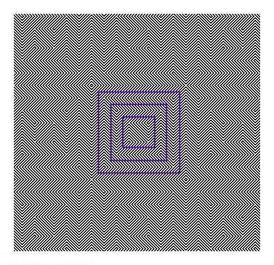 Illusione-ottica-esempi-di-disegni-con-giochi-ottici-1