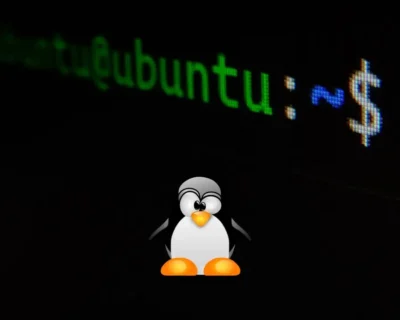 Come installare Linux al posto di Windows su PC?